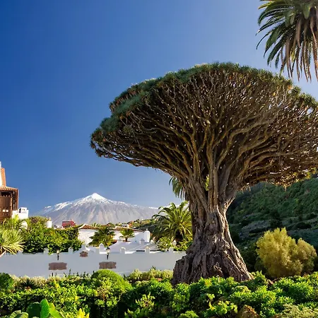 Eden Atogo Cozy Apartamento Granadilla De Abona