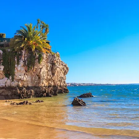 Apartamento Eden Atogo Cozy *