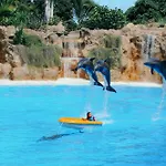 דירה Eden Atogo Cozy גרנדילה דה אבונה